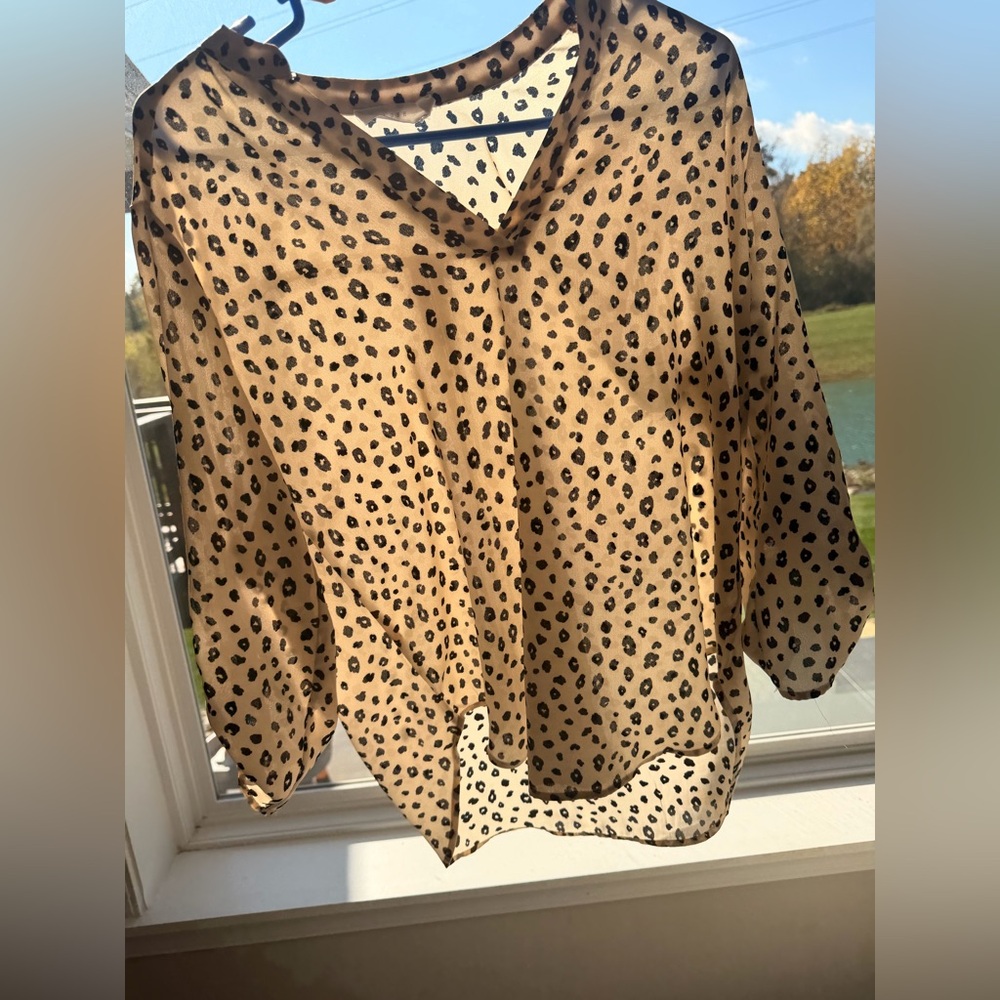 Leopard Print Sheer Women's Top